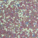 Duckweeds