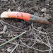 devil's dipstick