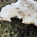 Lumpy Bracket