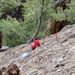 Snowplant