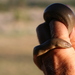 Northern Rubber Boa