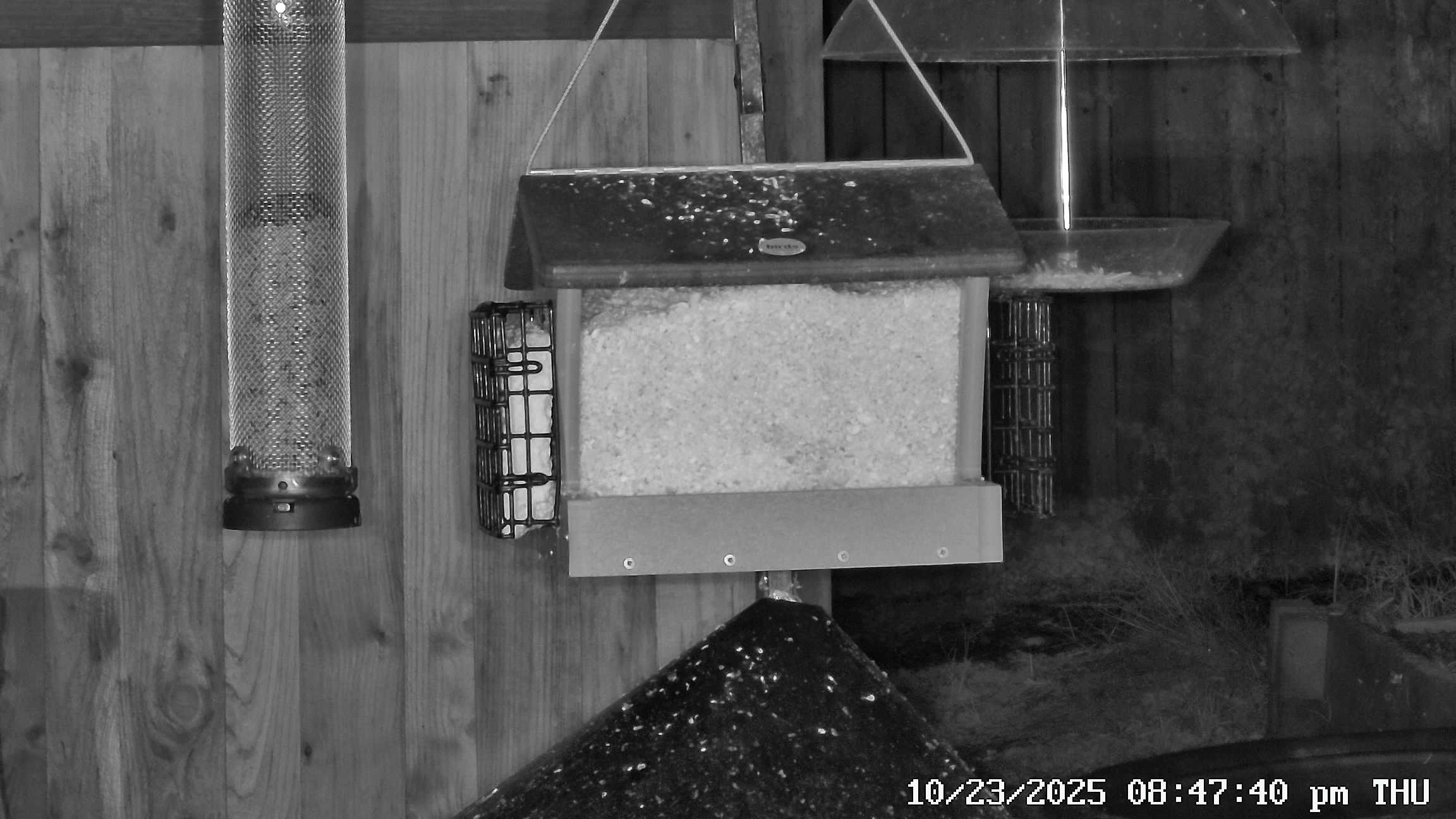 Bird Feeder Observation Station Current View - Click for live stream